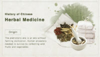 History of Chinese Herbal Medicine