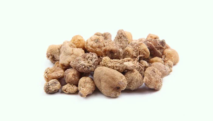 Shan Ci Gu (Pseudobulbus Cremastrae seu Pleiones)