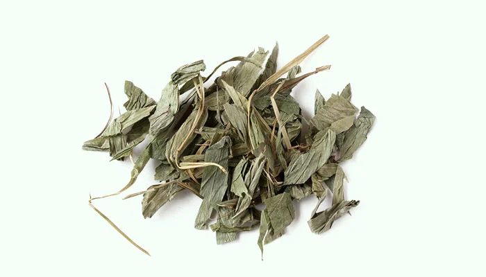 Zhu Ye (Bamboo Leaf)