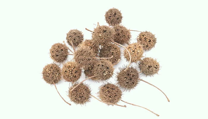 Lu Lu Tong (Liquidambaris Fructus)